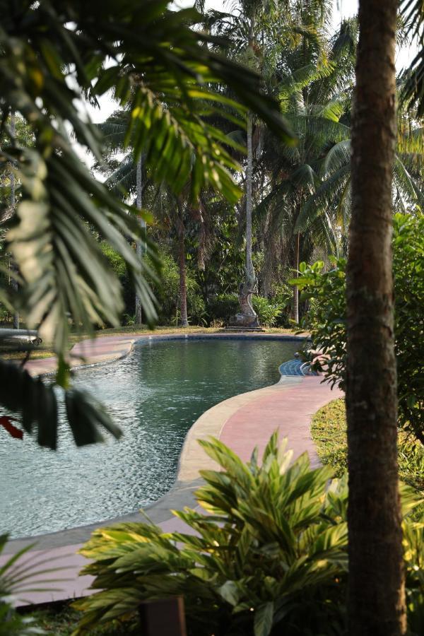 Naga Hill Resort Chiang Rai Bagian luar foto